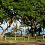 Children's swings in beach park Kamaole III