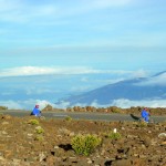 Maui Bicycling