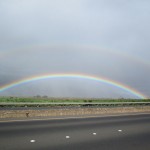 Maui Rainbow